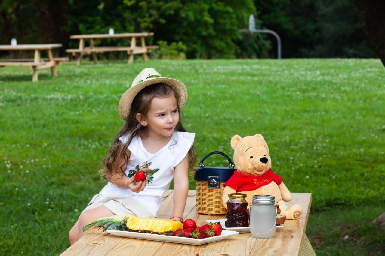 Skylaranna Resort & Spa Hendersonville Esterno foto